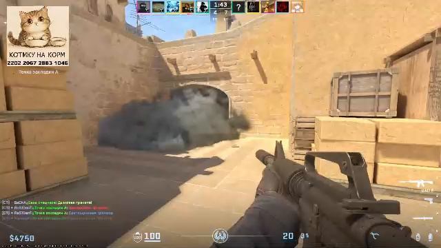 Стрим. Вижу чат только на твиче: Https://www.twitch.tv/sergo_twitch_tv