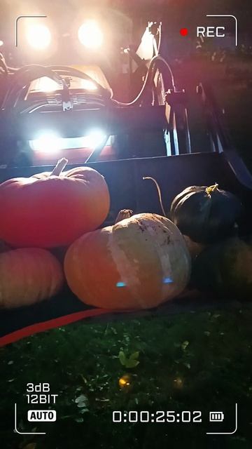 Вязание, труд, дети - лучшие антидепрессанты 😁❤