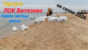 Анапа Сегодня Иследуем Тортугу /Витязево 2026