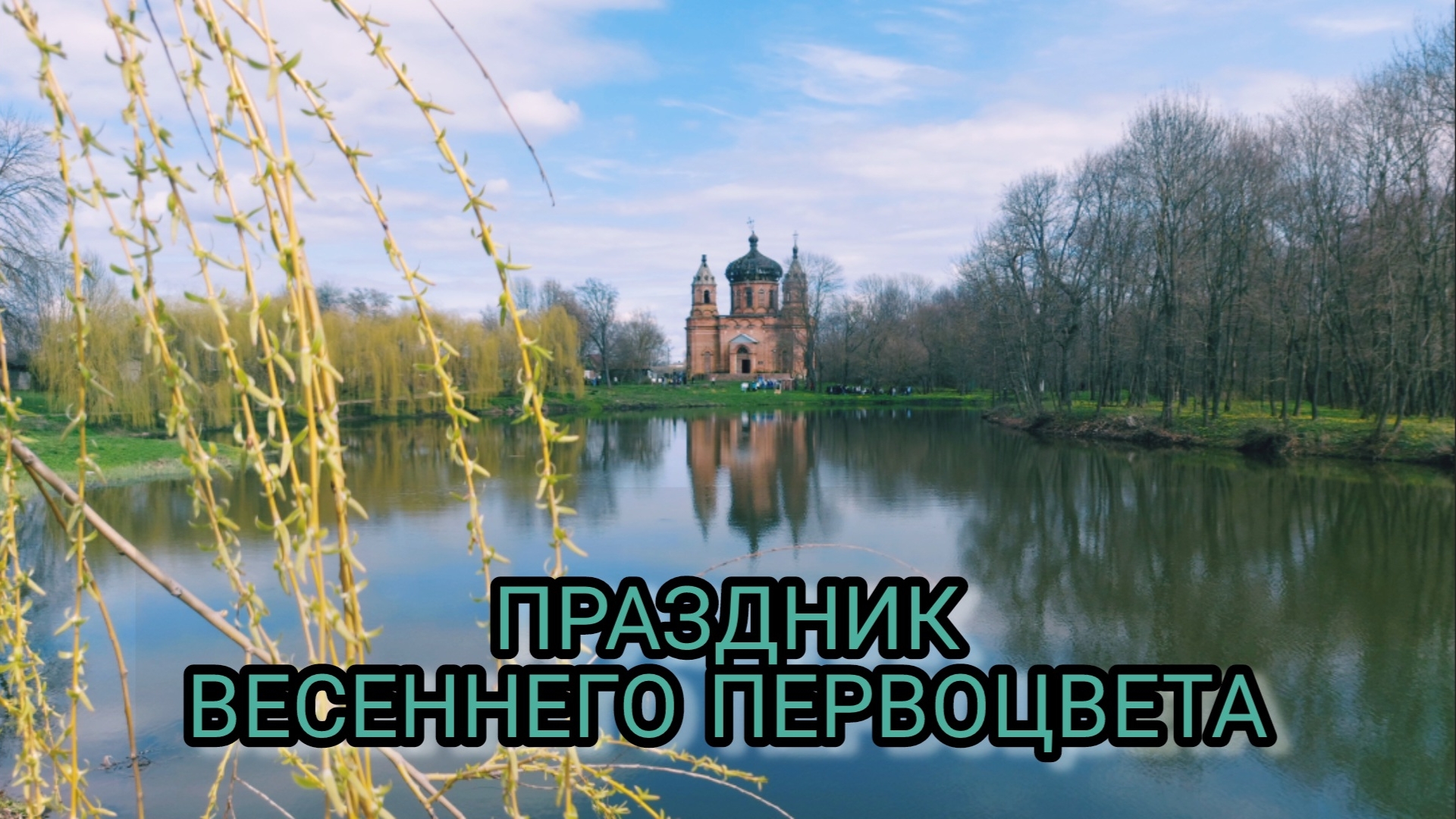 ВЕСЕННИЙ ПЕРВОЦВЕТ В ОЛЬШАНКЕ