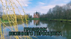 ВЕСЕННИЙ ПЕРВОЦВЕТ В ОЛЬШАНКЕ