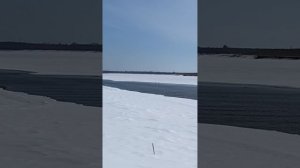 Начало сезона охоты
