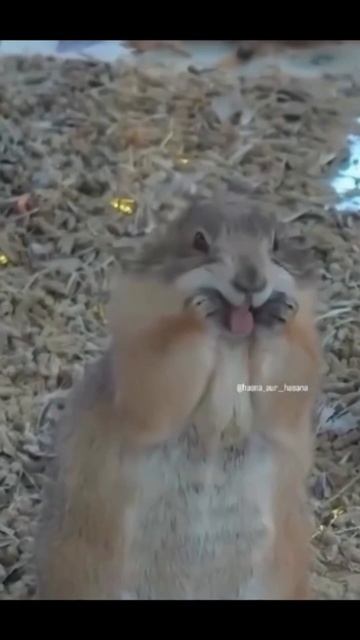 Стрессоустойчивость уровень ⬆️