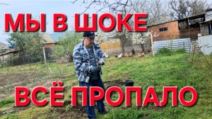 1182 Всё Пропало. Мы в сами в шоке. Спасаем всё что возможно.