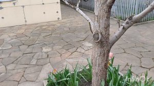 Вот и день прошёл.