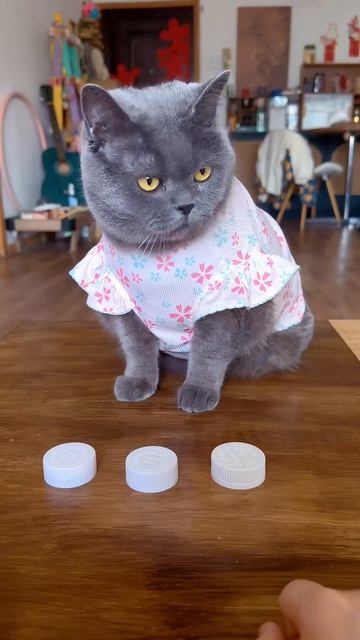 Разводилу не разведёшь!