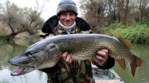 Ахтубв 1998, Жене Харичко на память