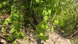 я того рот ипал(начало)