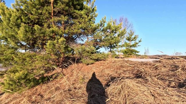 Случай на вечёрке.