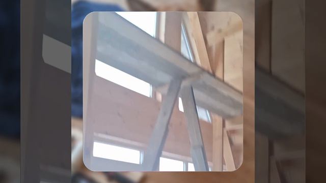 1000056362.mp4 (Собака наблюдает за устройством лестницы на 2-ой этаж в доме А-фрейм)