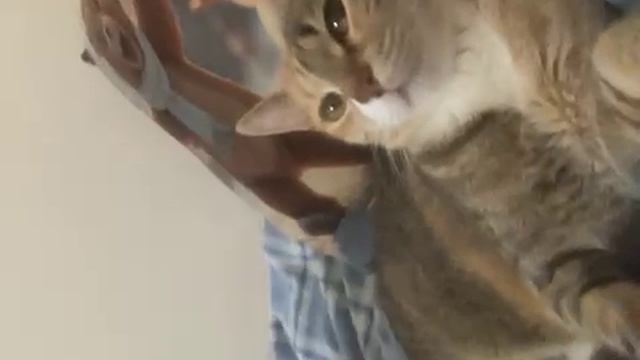 79823512582__665FC0AB-79C7-45EC-B05B-A7B909B2FE5E