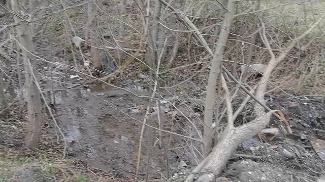 18.04.2026.Ляховский край.Уно-Моменто!25/7/365. Губернаторский. Ляхово TиVи. Усадьба Парк Кинематогр