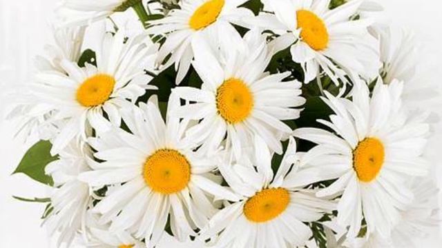 От всего сердца благодарю каждого !!! спасибо вам большое.