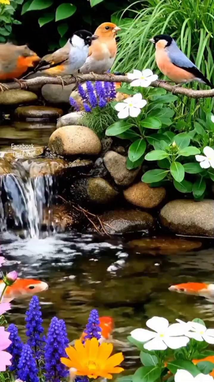 🐦🐟 Нейровидео: птички на веточке, карпы кои в ручейке — кто кого переглядит? 🌿