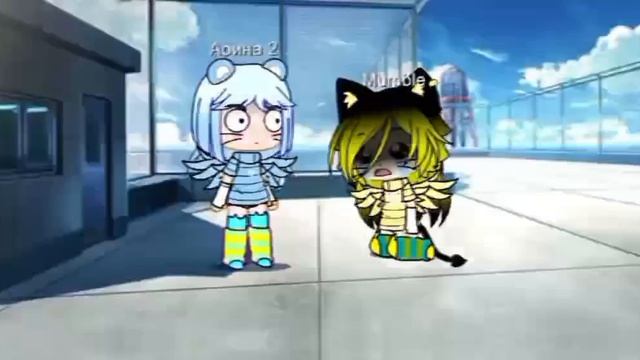 видео от Хомячка