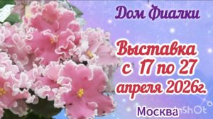 ФИАЛКИ. Выставка  с 17-27 апреля 2026г. "Весенний подарок". Дом Фиалки (г.Москва)