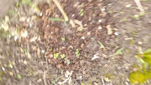 Продолжаю болеть...