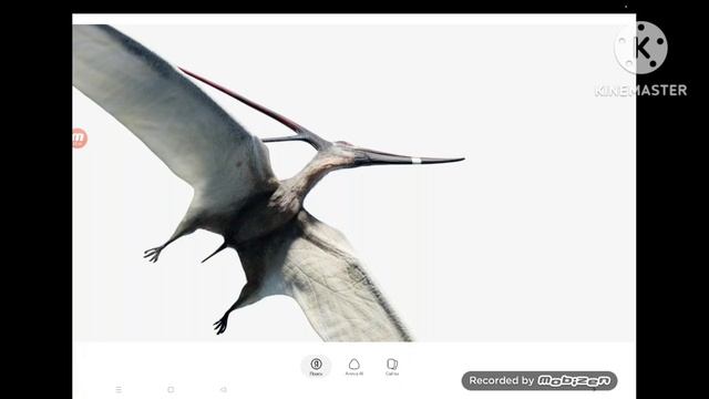 Необычные динозавры 3 часть