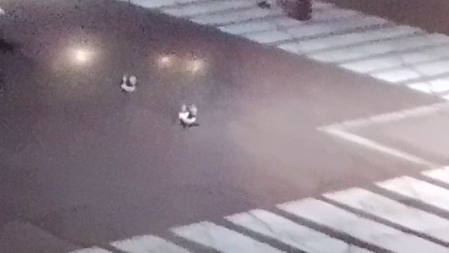 играю скибиди дом-добришь и свой карман