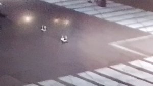 играю скибиди дом-добришь и свой карман