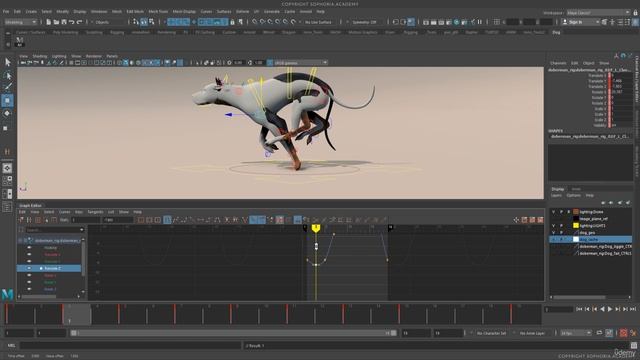 4. Refining Body Mechanics And Weight