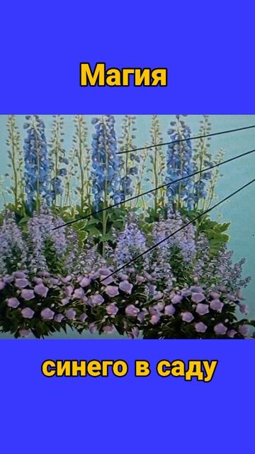 Магия синего в саду