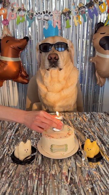 Дени исполнилось 5 лет🥳