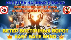 09 МОЛИТВА НА ИНЫХ ЯЗЫКАХ 🙏🏼 ОСВОБОЖДЕНИЕ ОТ ДУХА АЛКОГОЛИЗМА И ПЬЯНСТВА
