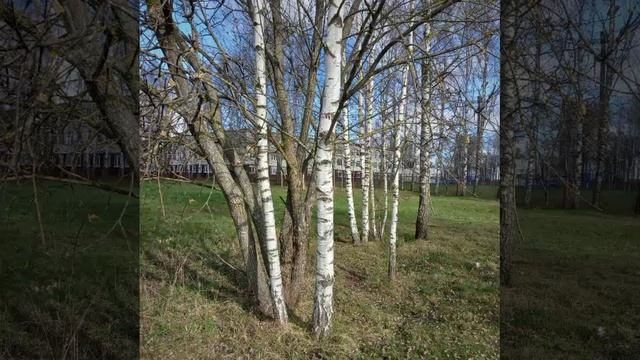 Судьба и жизнь © Copyright: Бронислав Сычёв, 2026
Свидетельство о публикации №126041102839