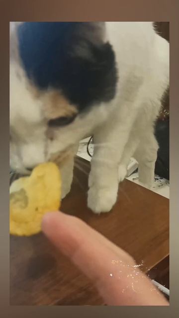 Россия.Сибирь. Ангарск. 18.04.2026г. 🥰🥰🥰 Они для нас СТРАНИЦА В ЖИЗНИ, а мы для них ВСЯ ЖИЗНЬ!