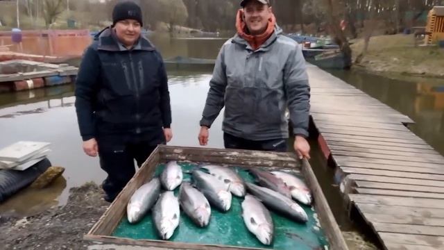 18.04.26 г. РК Волна.