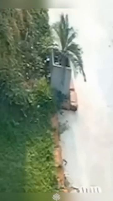 Собака спасает жизнь другой собаке! Трогательный момент