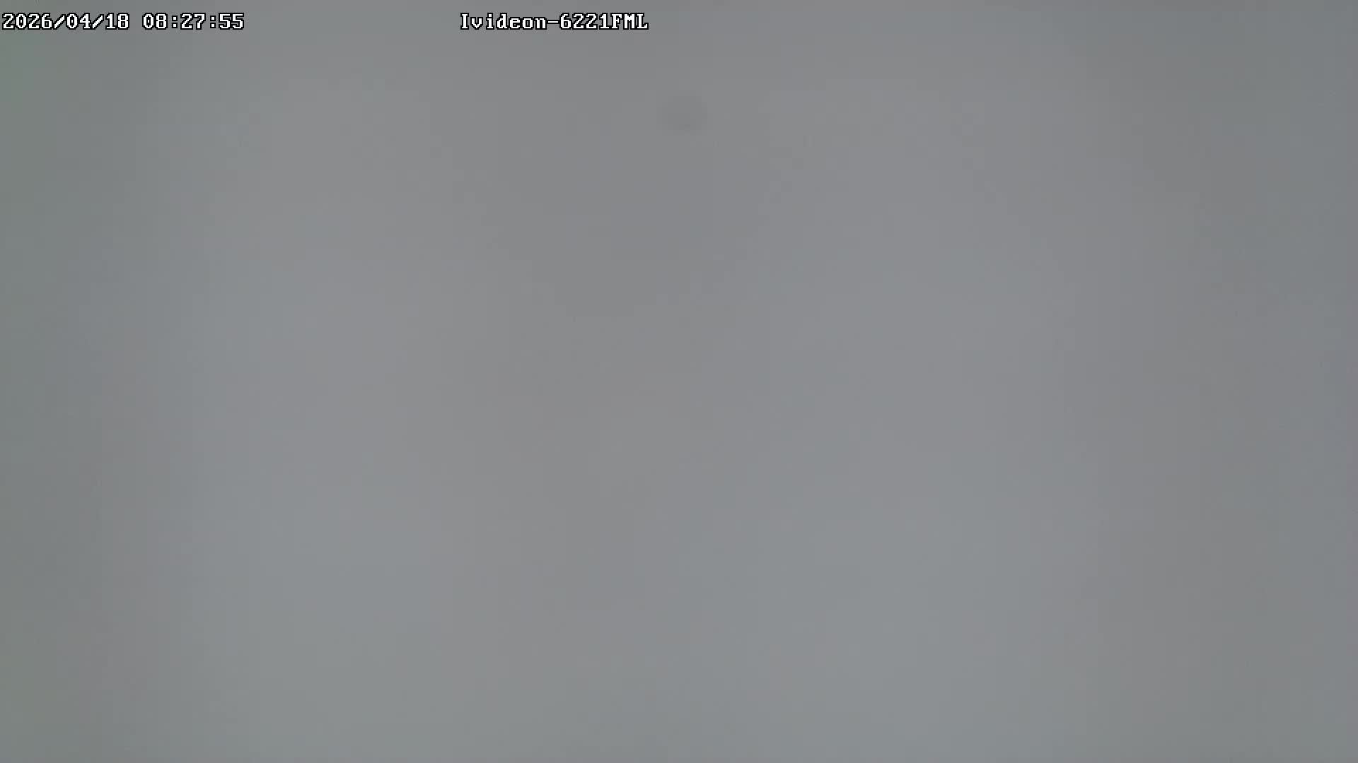 LIVE: Channel43489494