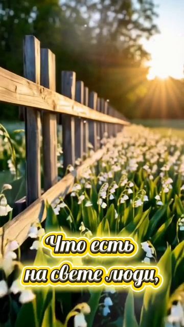 Доброе утро