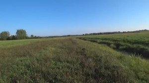 ПЕРВЫЕ УТКИ, ОТЛИЧНАЯ ОХОТА НА УТОК