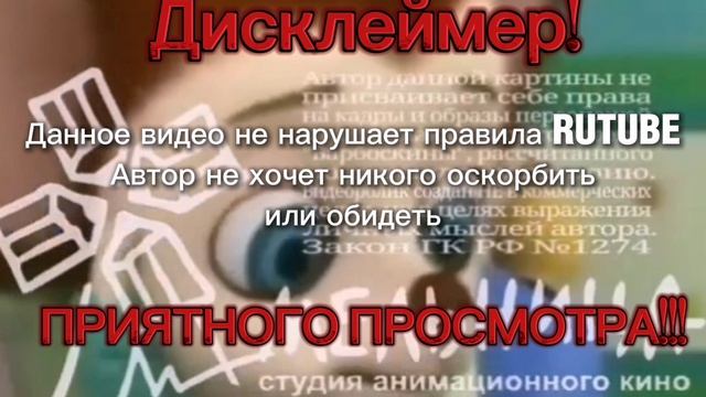 Дисклеймер перед Видео