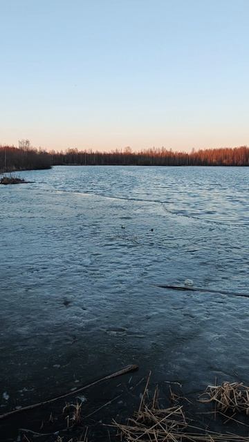 18.04.26. #озеробутыгино #доброго_вечера #отличного_настроения #архангельские