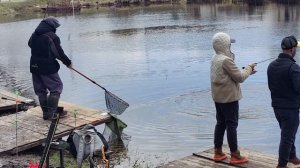 Светлые Горы Форель2 18.04.2026г.