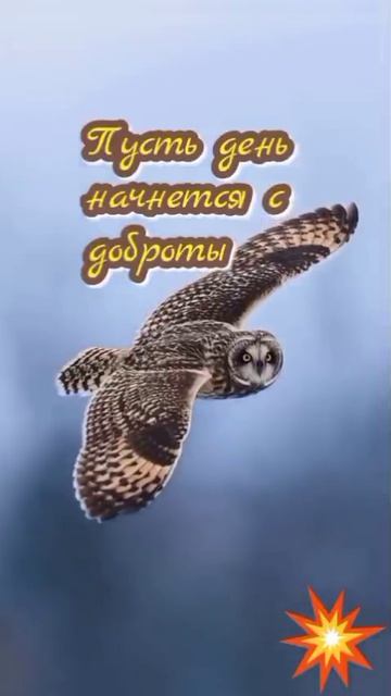 VID_20260418_122345_502.mp4