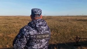Росгвардия оказала поддержку при задержании опасного преступника в Оренбургской области