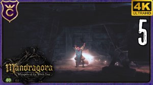 ПЕРВЫЙ ЗОЛОТОЙ СУНДУК! 5 Mandragora Whispers of the Witch Tree
