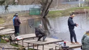 Светлые Горы Форель18 18.04.2026г.