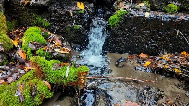 4K This melody will carry you to sleep