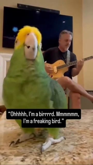 С НИМИ НЕ СОСКУЧИШЬСЯ...