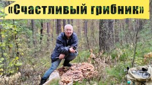 «Счастливый грибник» #собирать_грибы #бор #лес