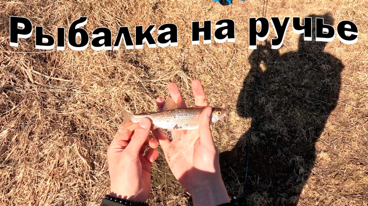 Открытие сезона на ручье с ультралайтом! Елец, окунь и подъязки! Ловля мормышингом!