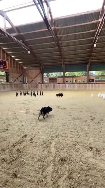 Как такое возможно