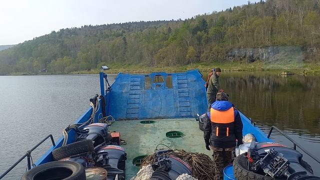 Нельма. завоз рыбаков