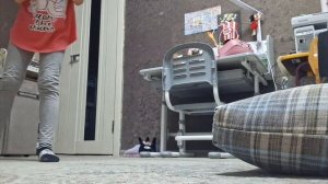 Мы просто ЛПешки