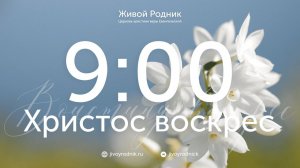 19.04.26 в 9:00 - 1-е Пасхальное Богослужение / в 12:00 - 2-е Пасхальное Богослужение